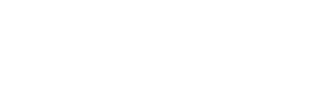 LOGO DEF WIT